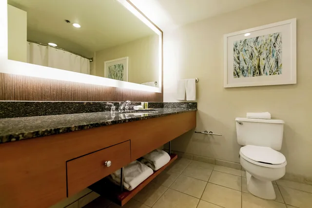 غرفة ديلوكس بسرير مزدوج، Hilton Salt Lake City Center 4/4