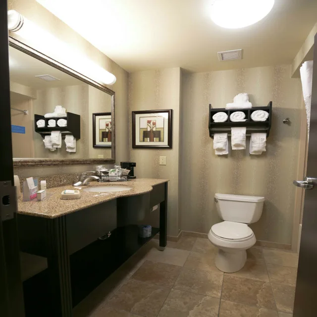 غرفة بسرير كينج مع أريكة، Hampton Inn and Suites McAlester 2/2
