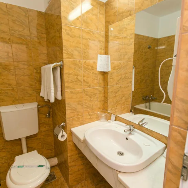1 Bedroom, Suite, Poienita 3/5