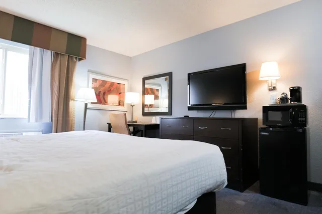 غرفة بسرير كينج لذوي الإعاقة، Baymont by Wyndham Flint Airport North 4/7