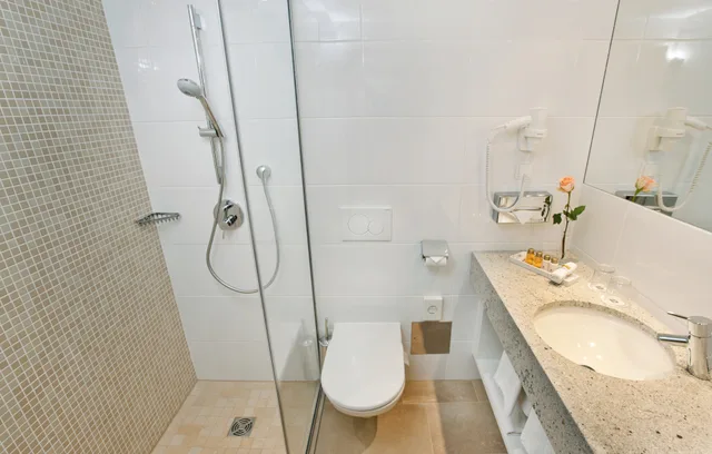 غرفة قياسية مفردة، Boutique Hotel Das Tigra 7/7