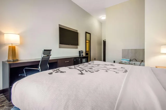 غرفة بسرير كينج، Sleep Inn Suites Middletown - Goshen 3/6