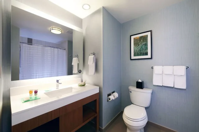 غرفة بسرير كينج، Hyatt Place Flushing Laguardia Airport 6/8