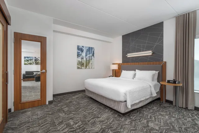 استوديو بسرير كينج بشرفة مع أريكة، Springhill Suites Chattanooga Downtown Cameron Harbor 1/4