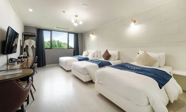 Superior, Triple, Double and Twin Beds, Andong Cm Park Hotel 5/10