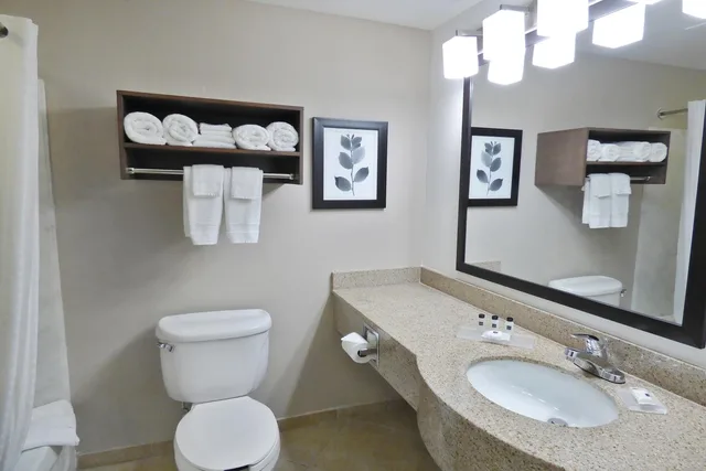 جناح بريميوم تنفيذي بسريرين كوين لذوي الإعاقة، Country Inn and Suites by Radisson Tampa/Brandon FL 3/4