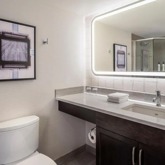 1 Bedroom, Condominium, Apartment، Delta Grand Okanagan Resort 2/2