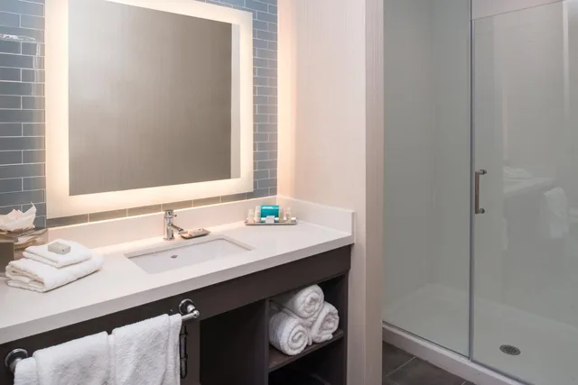غرفة ديلوكس بسرير كينج لذوي الإعاقة، HOTEL INDIGO FRISCO 5/7