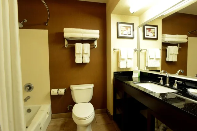 غرفة قياسية بسرير كينج لذوي الإعاقة، Comfort Suites Clovis - Fresno 7/8