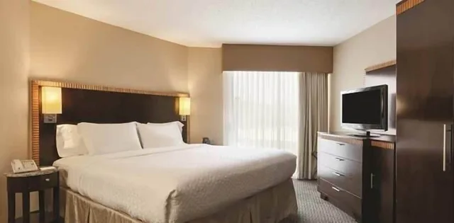 جناح بريميوم بسرير كينج بشرفة، Embassy Suites by Hilton Birmingham 4/10