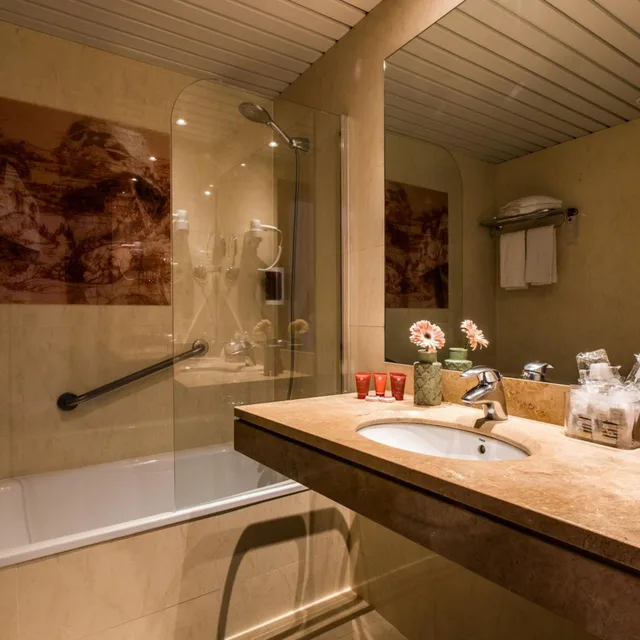Park, Superior, Double or Twin Bed, Leonardo Hotel Barcelona Gran Via 9/9