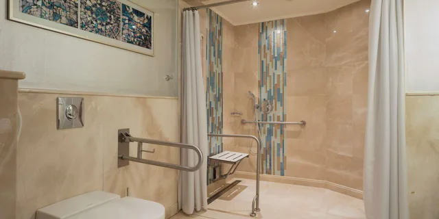 Guest Room, King Bed, Hilton Bursa Convention Center & Spa 4/4