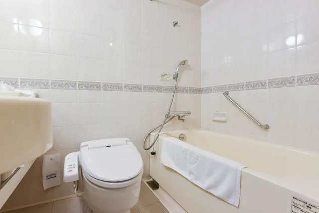 Economy, Double Bed, New Osaka Hotel Shinsaibashi 3/3
