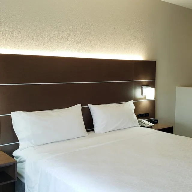 جناح تنفيذي بسرير كينج، Holiday Inn Express Hotel & Suites Weslaco 2/6