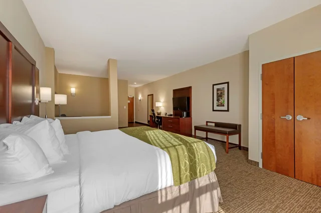 جناح بسرير كينج مع أريكة، Comfort Suites Piedmont - Greenville South 2/3