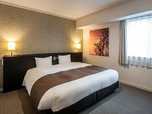 غرفة ديلوكس بسرير مزدوج للمدخنين، Hotel Royal Stay Sapporo 1/2