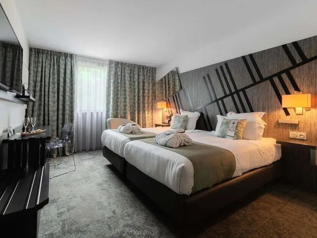 غرفة سوبيريور بسريرين منفصلين، Mercure Belfort Centre 2/3