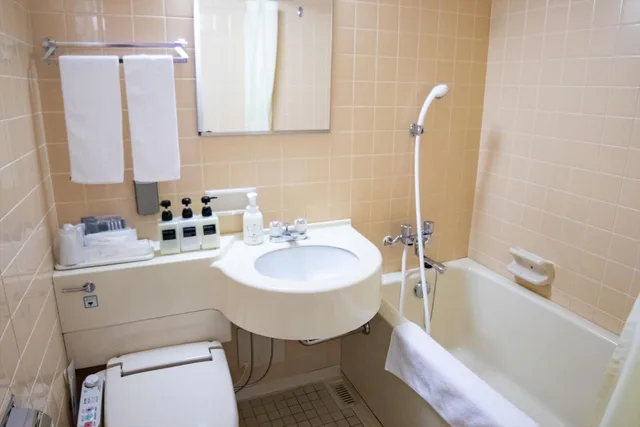 غرفة بسريرين منفصلين، HOTEL CONTINENTAL 9/10