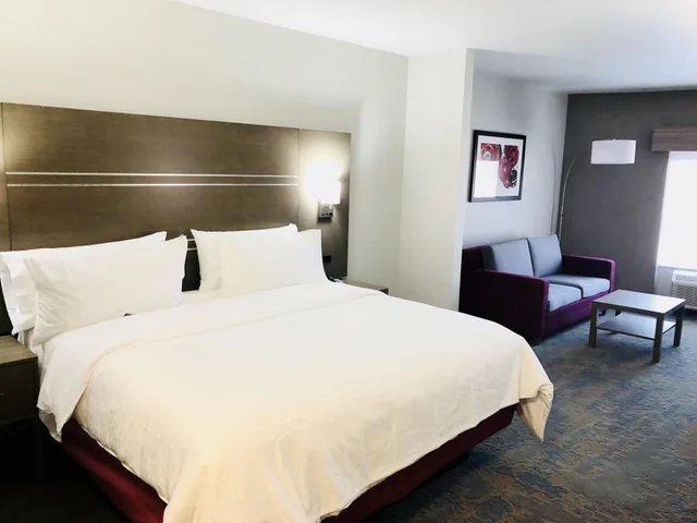 غرفة قياسية بسرير كينج مع أريكة، Holiday Inn Express & Suites Memphis Arpt Elvis Presley Blv 1/5