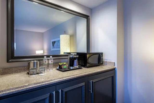 جناح جونيور بسرير كينج مع أريكة، DoubleTree by Hilton Hotel Los Angeles Norwalk 6/6
