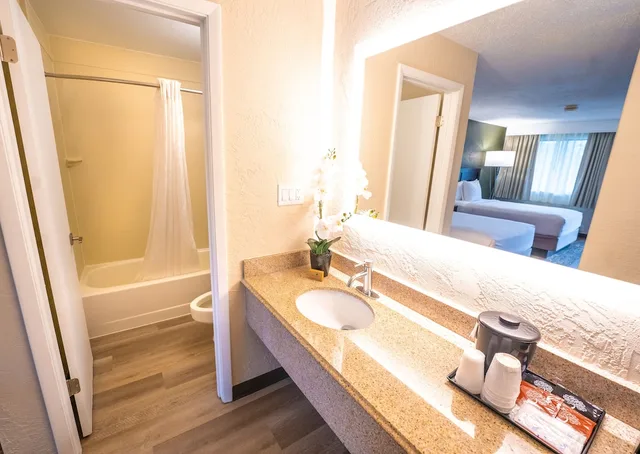 Room, King Bed, Pool View, Mai Hana Hotel and Suites International Drive 5/5