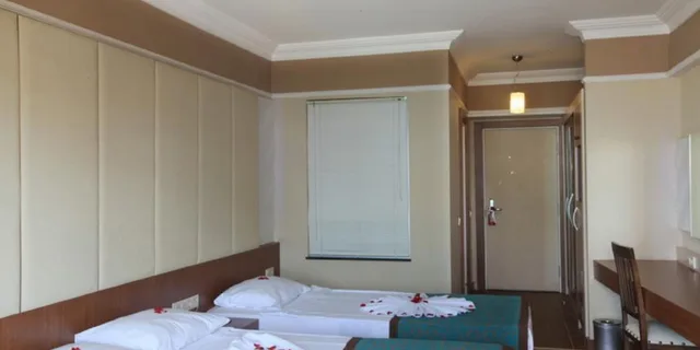 غرفة قياسية مفردة بسرير مزدوج، Tac Premier Hotel Spa 1/11
