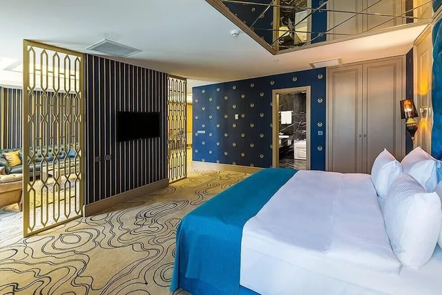 جناح رئاسي، Premier Inn Sakarya 1/3