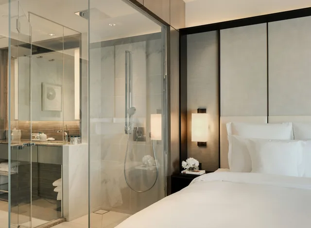 Premium, Twin Beds, Club Lounge Access, Ana Intercontinental Tokyo 6/6