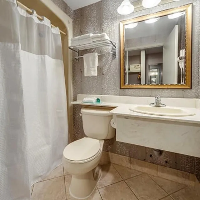 غرفة قياسية بسرير كينج وسريرين كوين، Monte Carlo Inn Brampton Suites 7/8