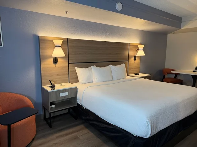 غرفة بسرير كينج، La Quinta Inn by Wyndham Tampa Bay Pinellas Park Clearwater 6/10