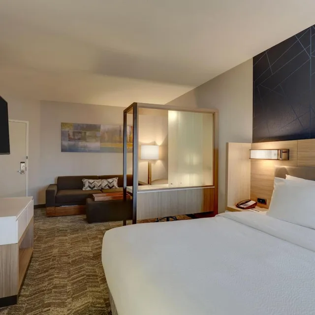 Room, King Bed, Trundle Bed, Sofa, Bathtub, Accessible, SpringHill Suites by Marriott Cheraw 2/7
