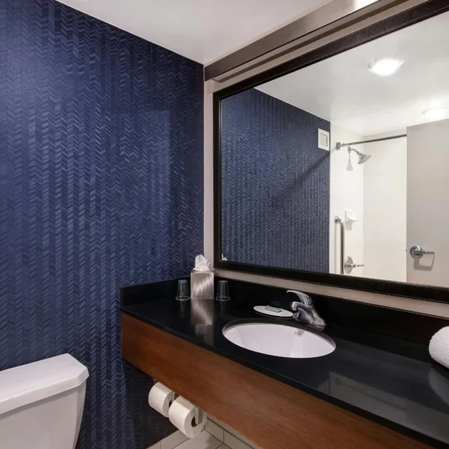 غرفة بسرير كوين بحوض استحمام لذوي الإعاقة، Fairfield Inn Amp Suites By Marriott Rochester West Greece 3/5