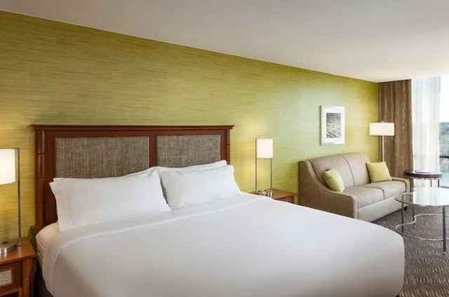 غرفة قياسية بسرير كينج مع أريكة، Holiday Inn Austin Town Lake Hotel 4/6
