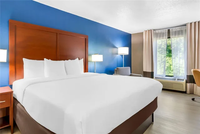 غرفة بسرير كينج، Comfort Inn Greenville - Haywood Mall 1/9
