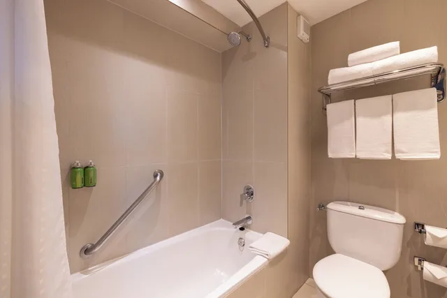 غرفة قياسية بسرير فردي، HOLIDAY INN EXPRESS TEMUCO 5/6