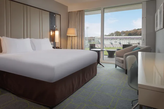 Deluxe, King Bed, Plunge View, Balcony، Hilton Southampton - Utilita Bowl 3/10