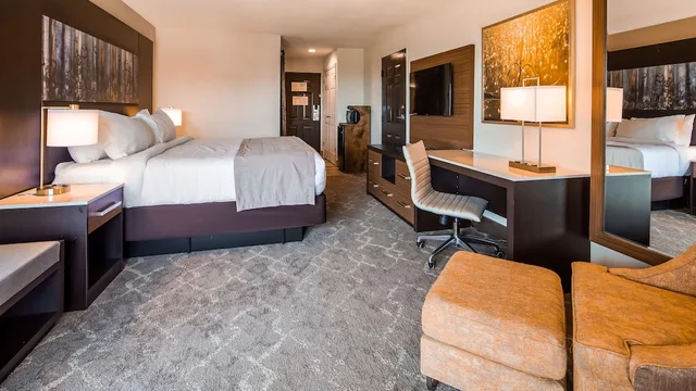 Standard, King Bed, Aiden by Best Western Warm Springs Hotel and Event Center 3/5