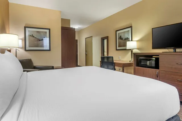 Room, King Bed, Bathtub, Accessible, Best Western Plus Bathurst Hotel Suites 1/4