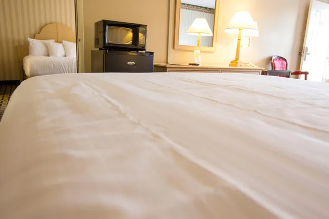 Duplex, Family, 2 Bathrooms، Anaheim Carriage Inn 1/3