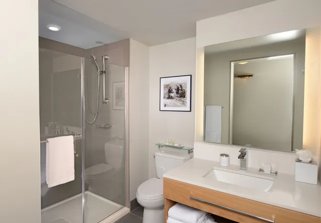 Expanded, Standard, King Bed, City View, Hotel Indigo Denver Downtown - Union Station, an IHG Hotel 8/10
