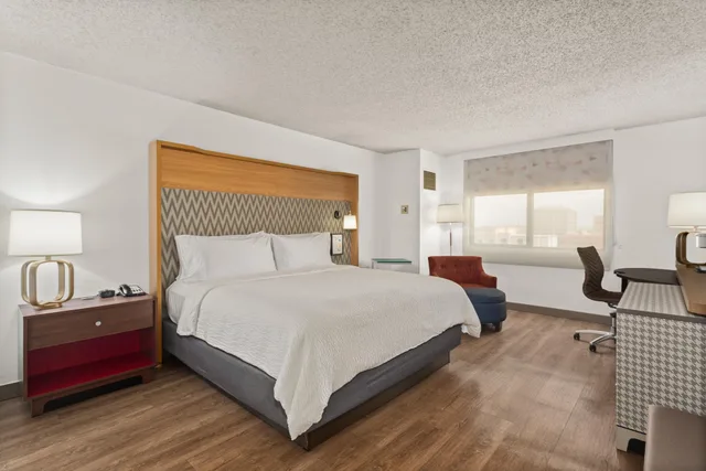 غرفة كلوب بسرير كينج، Holiday Inn Tampa Westshore Airport Area 6/8