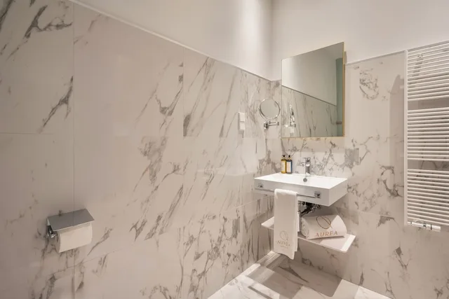 غرفة بريميوم بسريرين منفصلين، Aurea Ana Palace Hotel 4/5