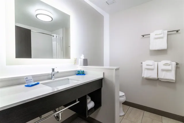 غرفة قياسية بسرير فردي، Holiday Inn Express Suites Allen Park 3/3