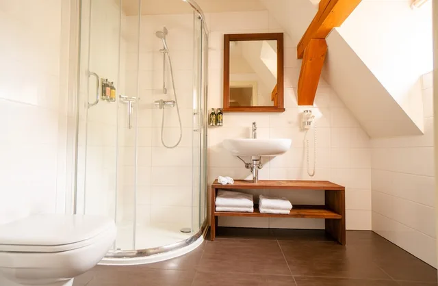 Plus, Deluxe, 2 King Beds, Hotel Golden Key Prague 4/4