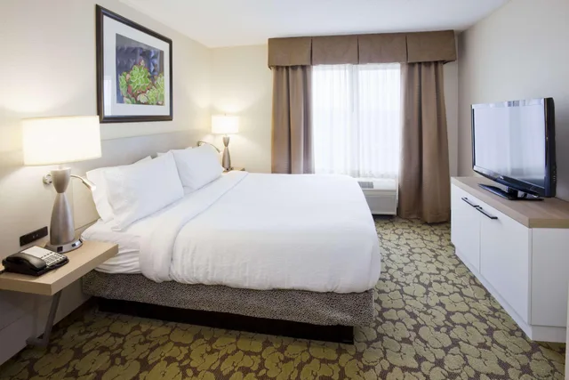 جناح بسرير كينج بغرفة نوم واحدة لذوي الإعاقة، Hilton Garden Inn Minneapolis-Eagan 1/2