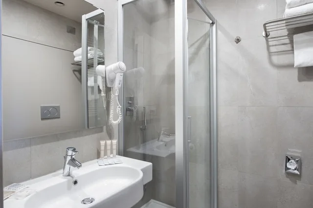 غرفة ديلوكس بسرير كينج، Hotel Grifone Firenze 3/3