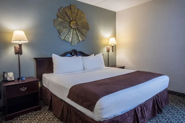 جناح استوديو بسرير كينج مع أريكة، D. Hotel and Suites 4/7