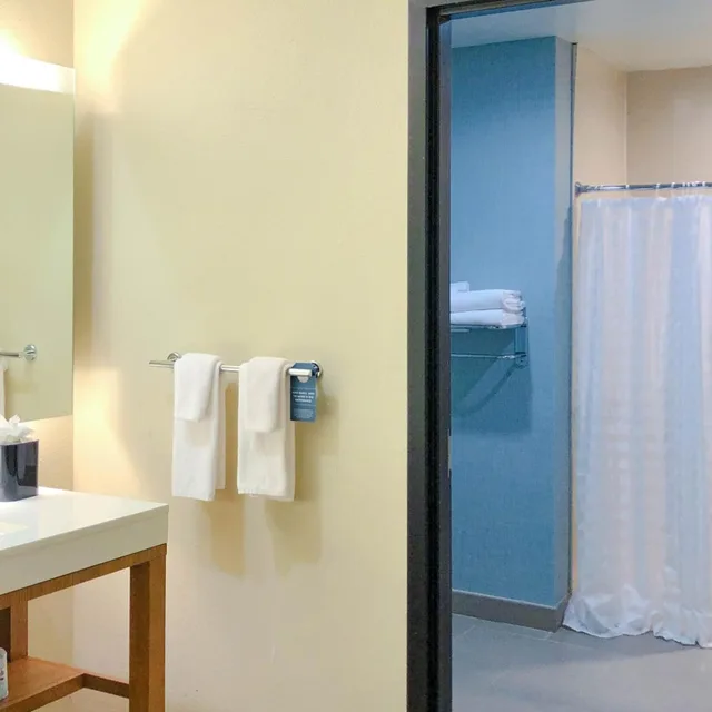 غرفة بسريرين كوين مع أريكة لذوي الإعاقة، Hyatt Place Houston-Northwest / Cy-Fair 3/3