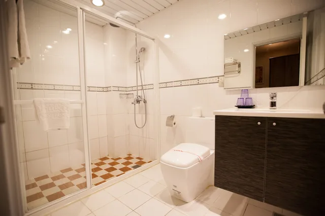 غرفة أساسية بسرير مزدوج، Kai Shen Sinsu Hotel 5/5