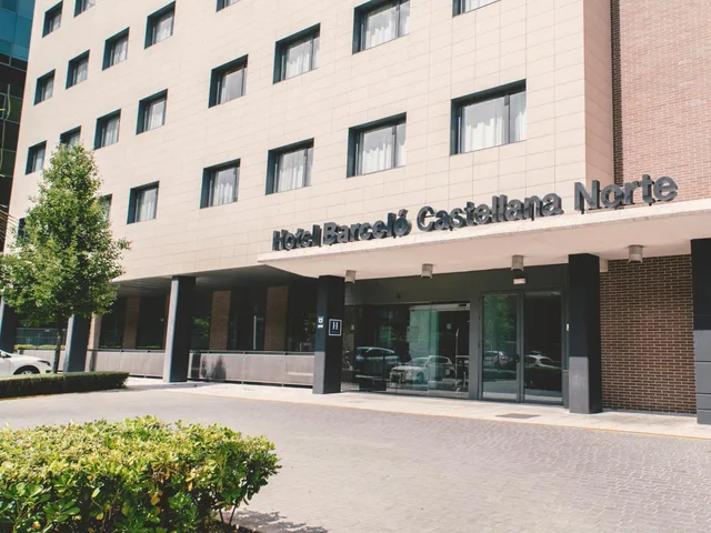 غرفة قياسية مفردة، Hotel Zentral Castellana Norte 1/1